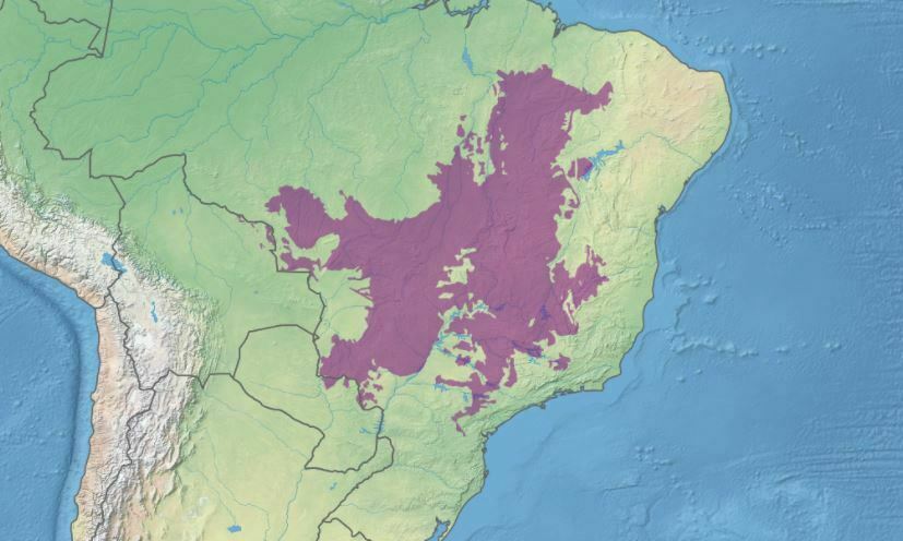 Mapa cerrado, vegetação cerrado, bioma do cerrado 